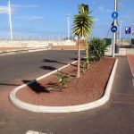 Mejora ajardinado vía litoral de Santa Cruz de Tenerife